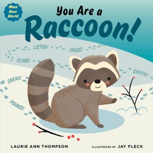 You Are a Raccoon! image number 0