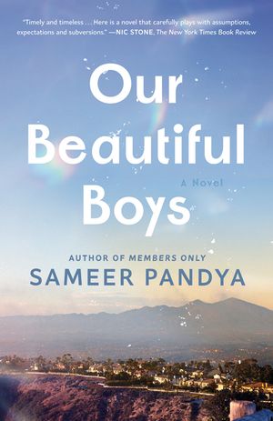 Our Beautiful Boys image number 0