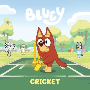 Bluey: Cricket image number 0