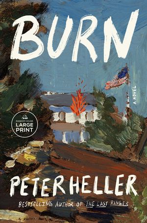 Burn image number 0