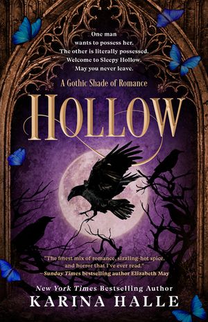 Hollow image number 0