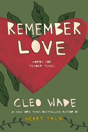 Remember Love: Words for Tender Times image number 0