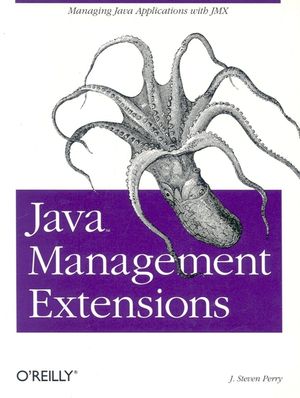 Java Management Extensions image number 0