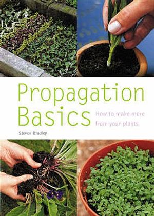 Propagation Basics. Steven Bradley image number 0