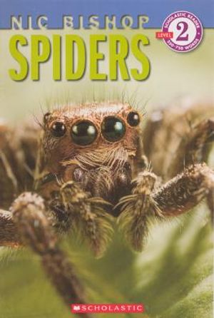 Spiders image number 0
