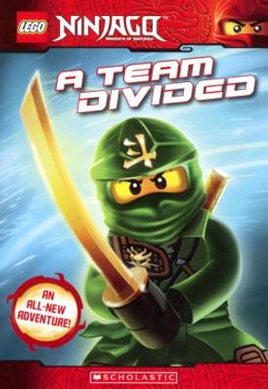 Team Divided image number 0
