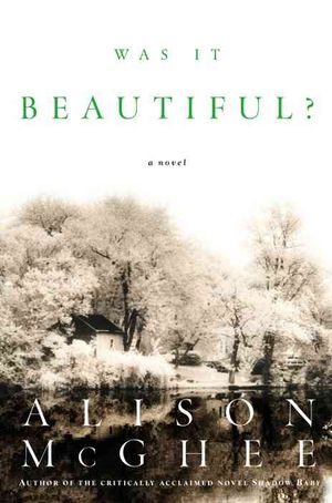 Was It Beautiful? : A Novel image number 0