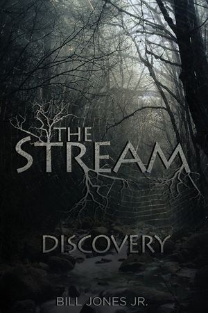The Stream: Discovery image number 0