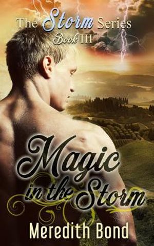 Magic In The Storm image number 0