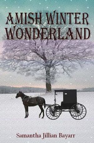 Amish Winter Wonderland: Book Two image number 0