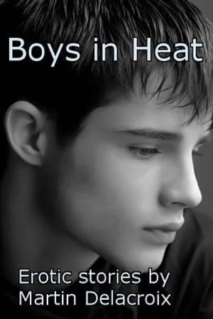 Boys in Heat: Erotic stories by Martin Delacroix image number 0