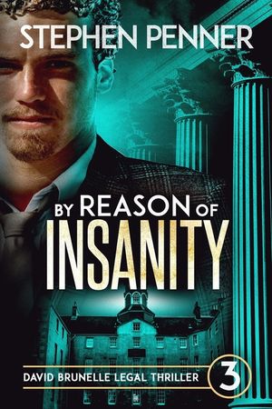 By Reason of Insanity: David Brunelle Legal Thriller #3 image number 0