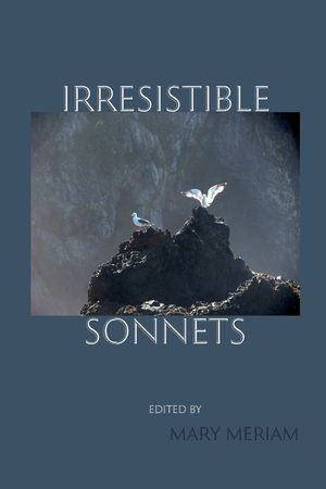 Irresistible Sonnets image number 0