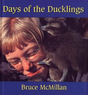 Days of the Ducklings image number 0