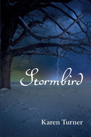 Stormbird image number 0