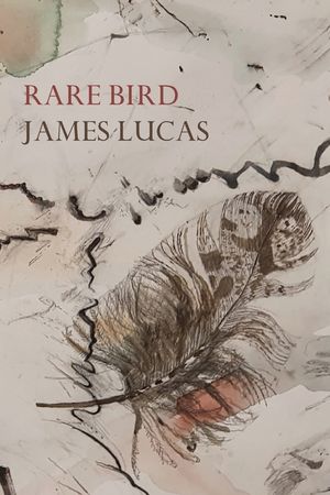 Rare Bird image number 0