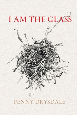 I am the glass image number 0