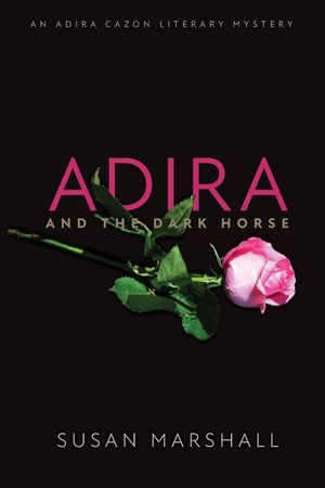 Adira and the Dark Horse image number 0