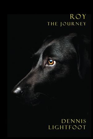 Roy: The Journey image number 0