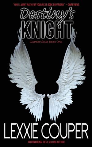 Destiny's Knight image number 0