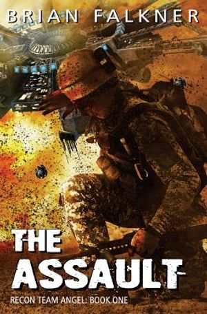 The Assault image number 0