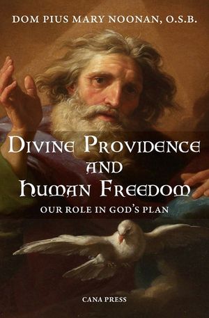 Divine Providence And Human Freedom: Our Role In God's Plan image number 0