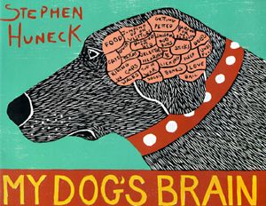 My Dog's Brain image number 0