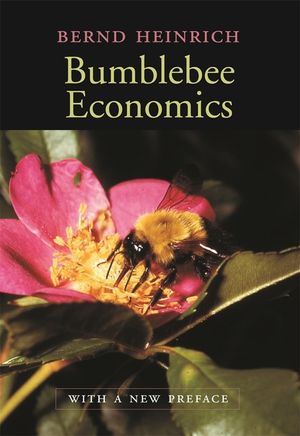 Bumblebee Economics: With a New Preface image number 0