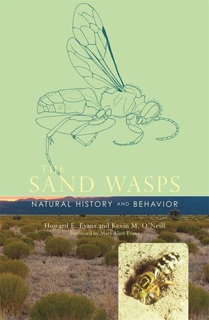 The Sand Wasps: Natural History and Behavior image number 0