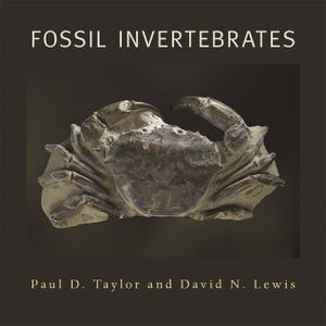 Fossil Invertebrates image number 0