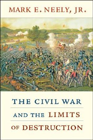 The Civil War and the Limits of Destruction image number 0