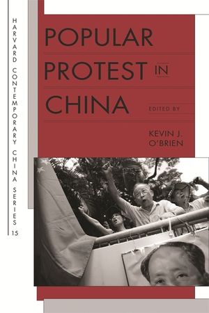 Popular Protest in China image number 0