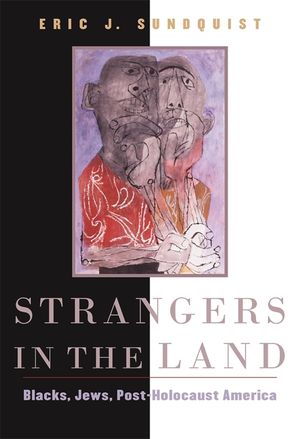 Strangers in the Land: Blacks, Jews, Post-Holocaust America image number 0