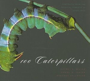 100 Caterpillars: Portraits from the Tropical Forests of Costa Rica image number 0