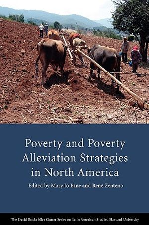 Poverty and Poverty Alleviation Strategies in North America image number 0