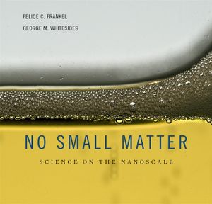 No Small Matter: Science on the Nanoscale image number 0