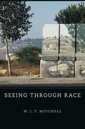 Seeing Through Race image number 0