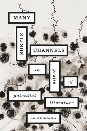 Many Subtle Channels: In Praise of Potential Literature image number 0