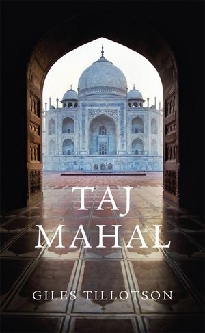 Taj Mahal image number 0