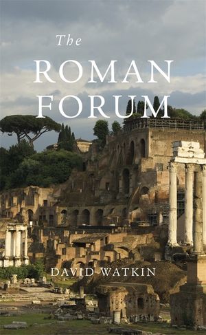 Roman Forum image number 0