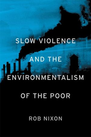 Slow Violence and the Environmentalism of the Poor image number 0