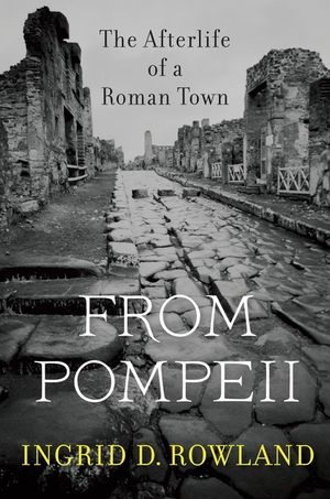 From Pompeii: The Afterlife of a Roman Town image number 0