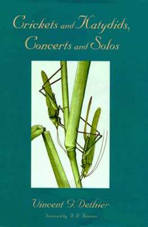 Crickets and Katydids, Concerts and Solos image number 0