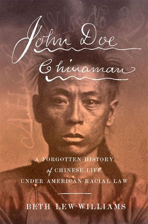 John Doe Chinaman: A Forgotten History of Chinese Life Under American Racial Law image number 0