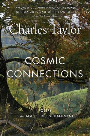 Cosmic Connections: Poetry in the Age of Disenchantment image number 0