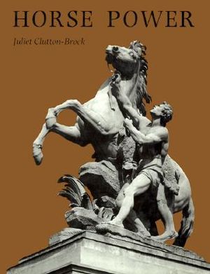 Horse Power: A History of the Horse and Donkey in Human Societies image number 0