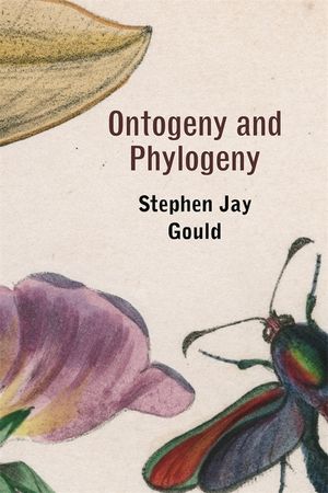 Ontogeny and Phylogeny image number 0