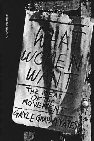 What Women Want: The Ideas of the Movement image number 0