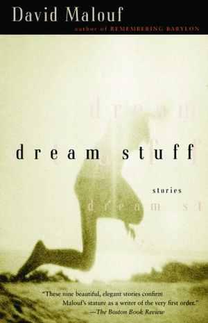 Dream Stuff image number 0