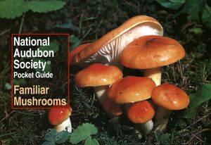 National Audubon Society Pocket Guide: Familiar Mushrooms image number 0